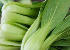 植物冠層分析儀如何助力農(nóng)業(yè)研究？